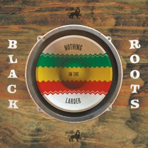 Download track Hidden Pain Black Roots