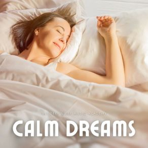 Download track Calm Reflections Deep Sleep Music Academy