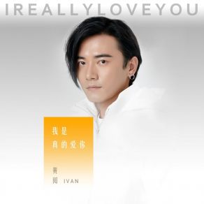 Download track 我是真的爱你 (伴奏) 黄阅