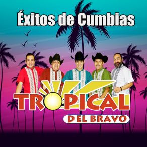 Download track Toquen Un Paseo Tropical Del Bravo