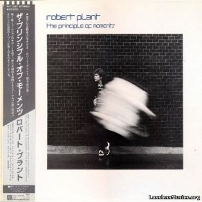 Download track Wreckless Love Robert Plant