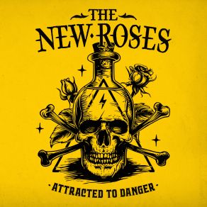 Download track Whiskey In The Backseat The New Roses