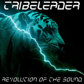 Download track CHANTS OF LIGHT (Instrumental) TribeleaderΟΡΓΑΝΙΚΟ