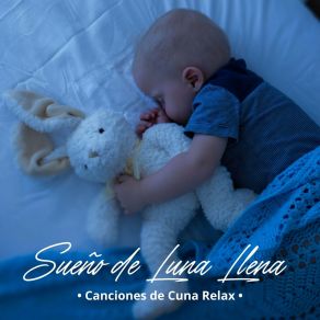 Download track Paz Silenciosa Canciones De Cuna Relax