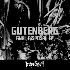 Download track Secluded District Of Town Gutenberg