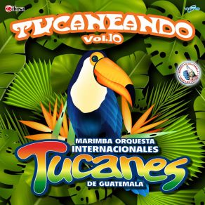 Download track Norteñas Tucaneras 9: Es Ella La Causa / El Carro Ladeado / La Reina Del Sur / Casas De Madera Marimba Orquesta Internacionales Tucanes De Guatemala