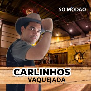 Download track Só Dá Você Na Minha Vida Carlinhos Vaquejada