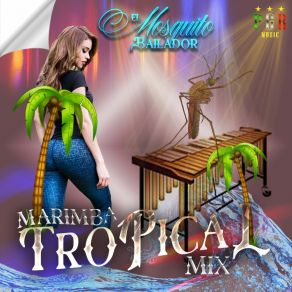 Download track Socadito Marimba Tropical Mix