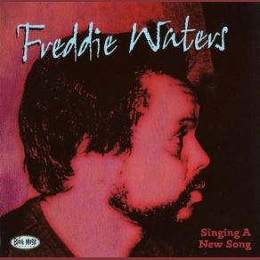 Download track Nobody Can Love Me The Way You Do Freddie Waters