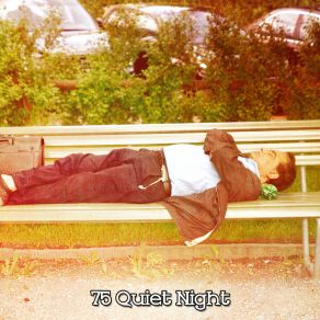 Download track Forty Winks Sleep Sounds Of Nature