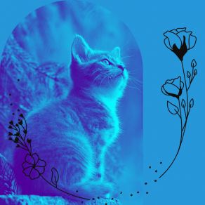 Download track Calm Moods For Comfy Cats Cat Music Oasis