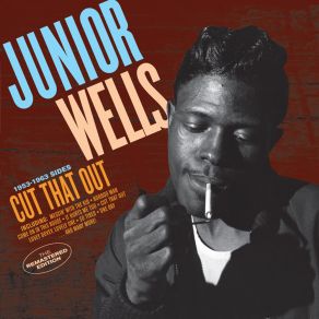 Download track I'm A Stranger Junior Wells