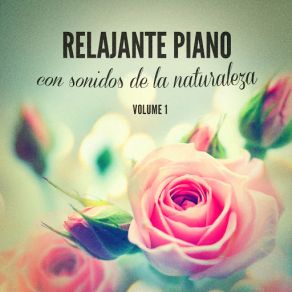 Download track Una Rosa Per Te Musica Para EstudiarAlessio De Franzoni