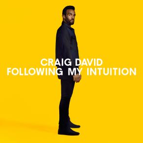 Download track No Holding Back Craig David, Hardwell