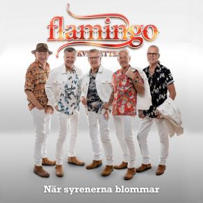 Download track Mitt Liv Har Fått En Helt Annan Mening Flamingokvintetten