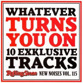 Download track Whatever Turns You On Daniel Norgren