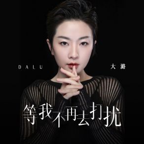 Download track 等我不再去打扰 (伴奏) 大潞