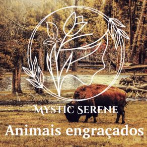 Download track Falando Golfinhos Mystic Serene