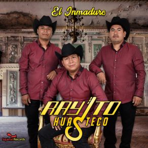 Download track Amigo Sincero Trio Rayito Huasteco