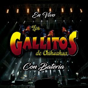 Download track Nenita Mia (En Vivo) Los Gallitos De Chihuahua