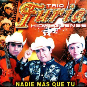 Download track Nadie Más Que Tú Trio Furia Hidalguense