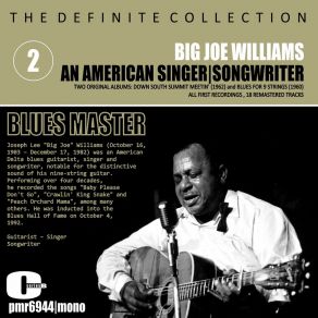 Download track Coal And Iceman Blues (Remastered) Big Joe Williams