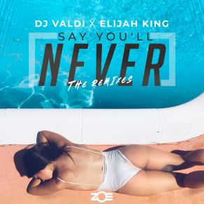 Download track Say You´ll Never (Carlos Serrano & Carlos Martin Mambo Remix) DJ Valdi'