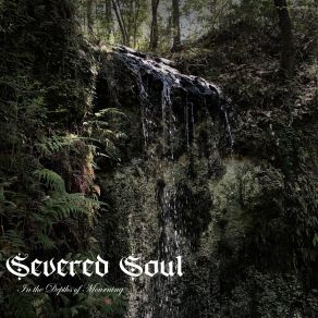 Download track Distant Shores Severed Soul