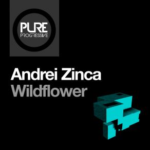 Download track Wildflower Dan-Andrei Zinca