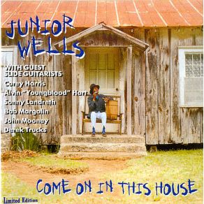 Download track Why Are People Like That? Junior Wells