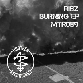 Download track Burning Ribz