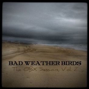 Download track Part 4 Bad Weather Birds