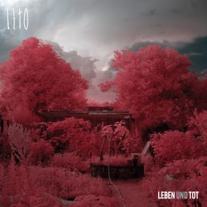 Download track Alles Ist Resonanz Leto