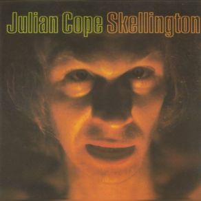 Download track Everything Playing At Once Julian Cope