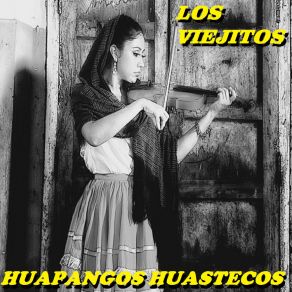 Download track El Arabe Huapangos Huastecos