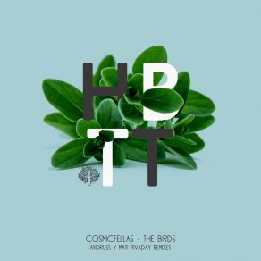 Download track The Birds (Andruss Remix) CosmicfellasAndruss