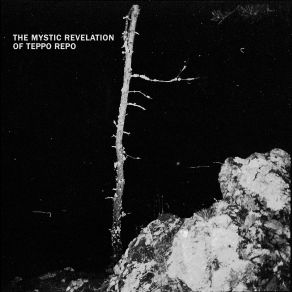 Download track Reida The Mystic Revelation Of Teppo Repo