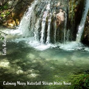 Download track Calming Mossy Waterfall Stream White Noise, Pt. 3 Steve Brassel