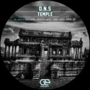 Download track Temple (Tommy Liberia Remix) D. N. S