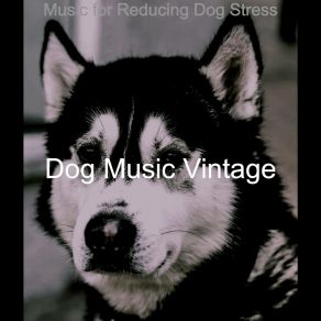 Download track Spacious Ambiance For Cute Dogs Dog Music Vintage