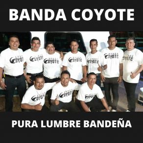 Download track Asi Fue Banda Coyote