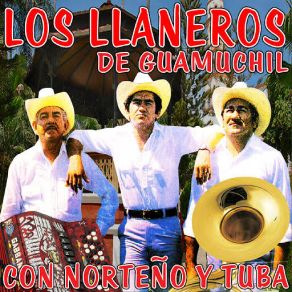 Download track Cuando Lloran Los Hombres Los Llaneros De Guamuchill