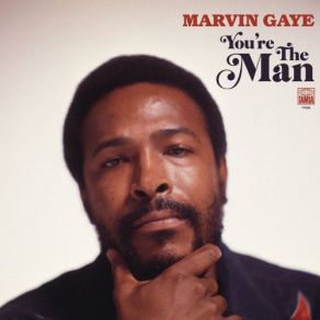 Download track You're The Man (Alternate Version) Marvin Gaye