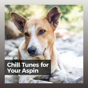 Download track Music To Leave Your Dog Home Alone In Peace, Pt. 19 Music For Dog's Ears
