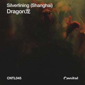 Download track Dragon 龙 (Daar's Cosmic Deconstruction Mix) Silverlining (Shanghai)Daar