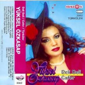 Download track Urfa'nın Etrafı - Pencereden Kar Geliyor Yüksel Özkasap