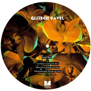 Download track Plimbareata Glitech Pavel