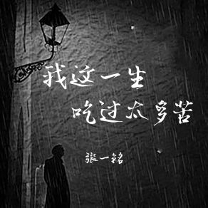 Download track 我这一生吃过太多苦 (烟嗓版伴奏) 张一铭