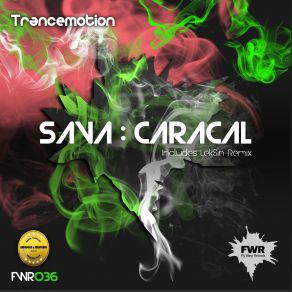 Download track Caracal (Original Mix) Sava