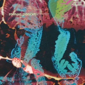 Download track Gentle Nightmare (Margaret Dygas Lucid Dream Remix) Roman Poncet